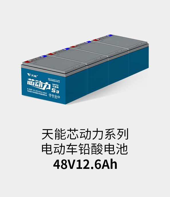 9393体育电池48v12ah