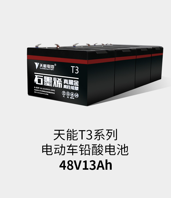 9393体育T3系列48v13ah