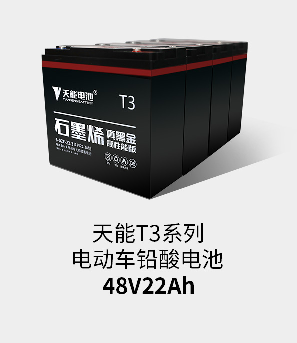 9393体育T3系列48v22ah