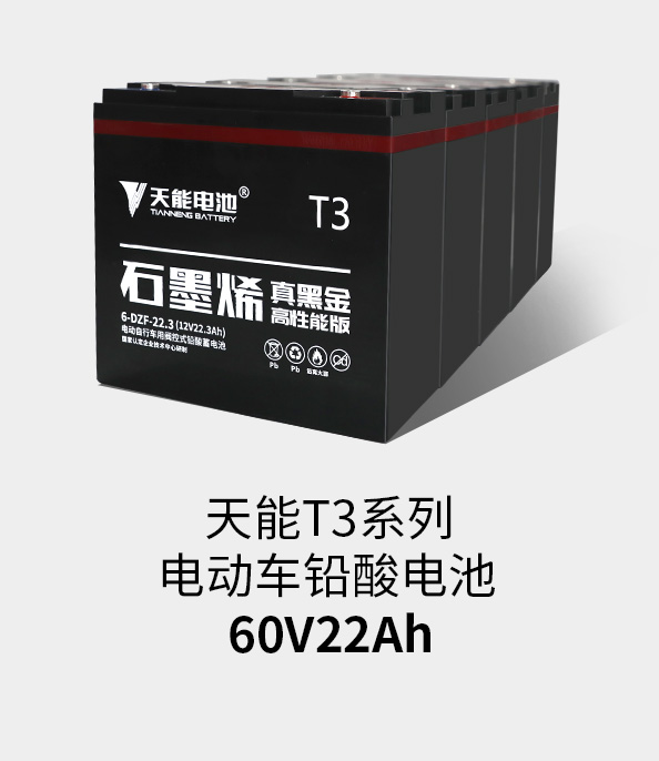 9393体育T3系列60v22ah
