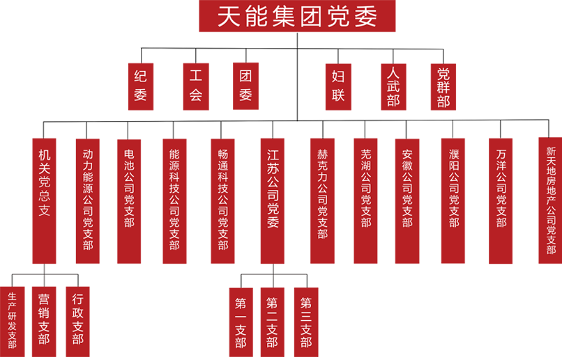 9393体育建团党委组织架构