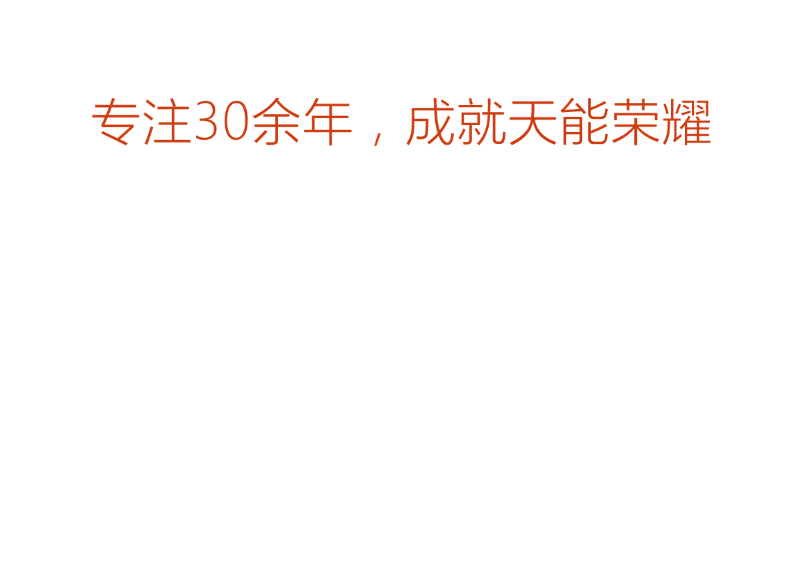 9393体育荣誉